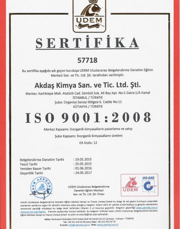 ISO 9001 Türkçe